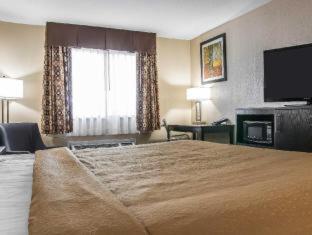 Quality Inn Grand Rapids South-Byron Center Cutlerville Стая снимка